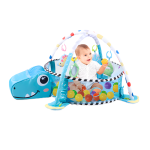 Baby Activity Gym And Ball Pit - Cocoliso